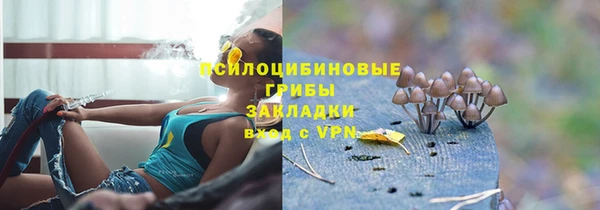 стафф Абинск
