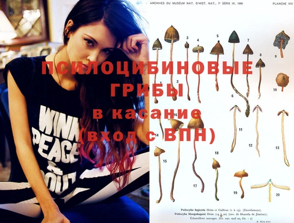 стафф Абинск