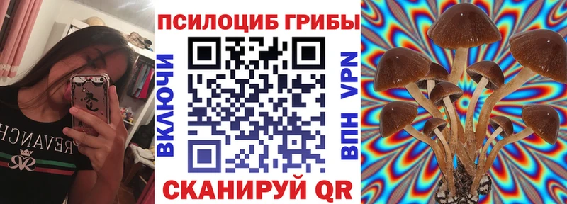 Псилоцибиновые грибы Psilocybe  где купить наркотик  darknet официальный сайт  Омск 